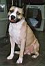 04 - Trouble sitting 1.jpg